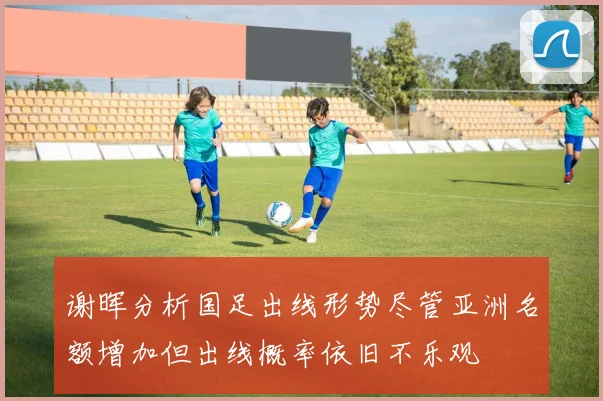 谢晖分析国足出线形势尽管亚洲名额增加但出线概率依旧不乐观