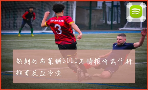 热刺对布莱顿3000万镑报价武什科维奇反应冷淡